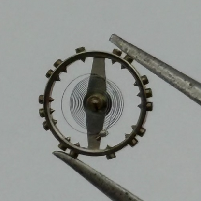 AS 976 1012 Balance Wheel Complete And Spring 29 M Renata Watch Movement Parts
