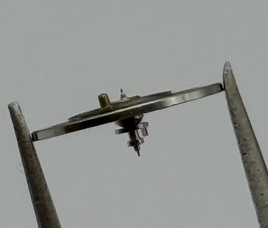 RL RAX 1013 1237 Balance Wheel Complete And Spring 1679 M Watch Movement Parts