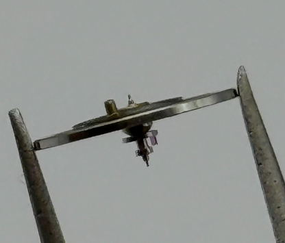 RL RAX 1013 1237 Balance Wheel Complete And Spring 1679 M Watch Movement Parts