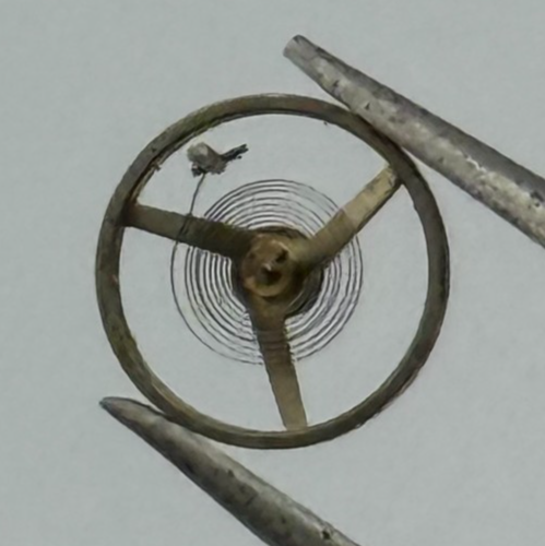 AS 1677 Balance Wheel Complete And Spring 5 1/2’’’ 1225 M Watch Movement Parts