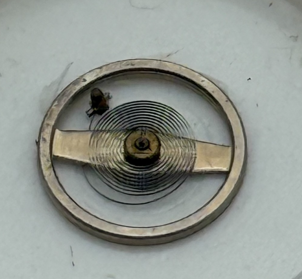 Brac 2021 2051 Balance Wheel Complete And Spring 69 M Watch Movement Parts NOS