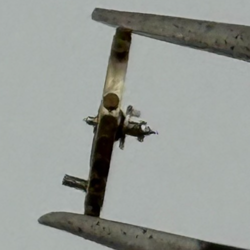 AS 976 1012 Balance Wheel Complete And Spring  29 M Watch Movement Parts NOS