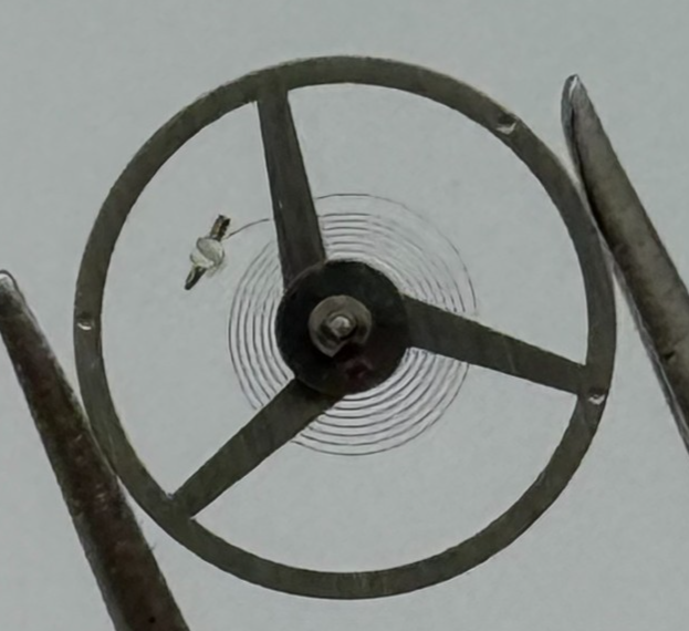 FEF 371 Balance Wheel Complete And Spring 6 3/4-8''' 1572 M Watch Movement Parts