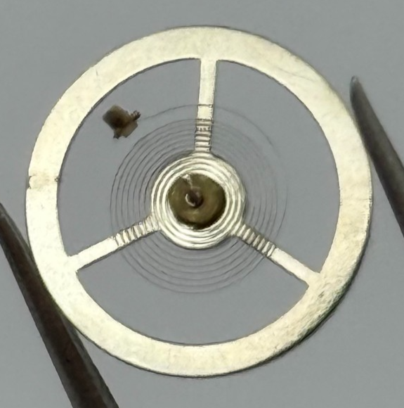 EB 8800 Balance Wheel Complete And Spring 12’’’ 1309 Watch Movement Parts NOS