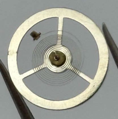 EB 8800 Balance Wheel Complete And Spring 12’’’ 1309 Watch Movement Parts NOS