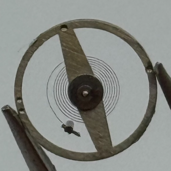 Balance Wheel Complete And Spring Renata Watch Movement Parts NOS