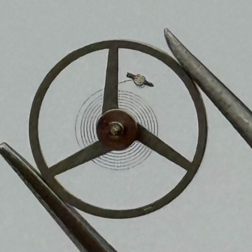 ETA 2412 Balance Wheel Complete And Spring 6¾''' 1257 M Watch Movement Parts NOS