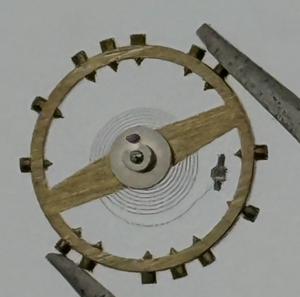 FHF 120 Balance Wheel Complete And Spring 6 3/4-8'''  205 Watch Movement Parts