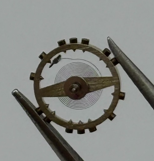 AS 976 1012 Balance Wheel Complete And Spring Inca 532 M Watch Movement Parts