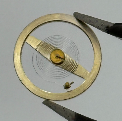 RL RAX 1013 1237 Balance Wheel Complete And Spring 1679 M Watch Movement Parts