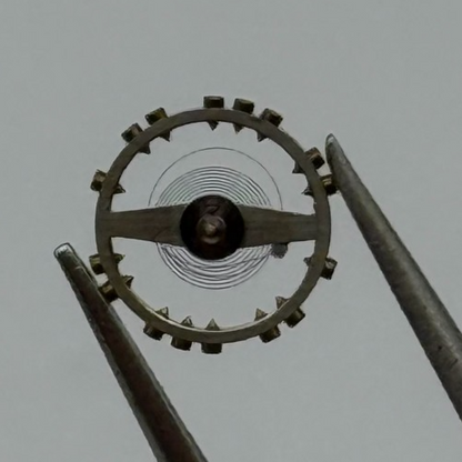 AS 976 1012 Balance Wheel Complete And Spring 29 M Renata Watch Movement Parts