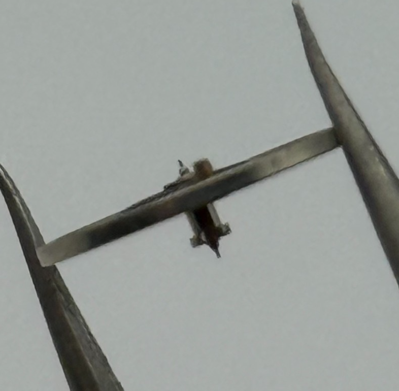 BFG 58 153 Balance Complete a dgt. Renata 1540 Watch Movement Parts Vintage NOS