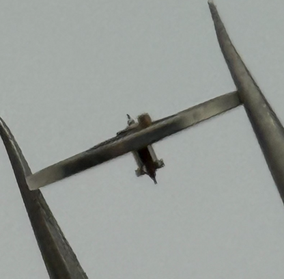 BFG 58 153 Balance Complete a dgt. Renata 1540 Watch Movement Parts Vintage NOS