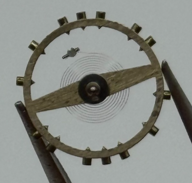 AS 1194 Balance Wheel Complete And Spring 42 M Watch Movement Parts NOS