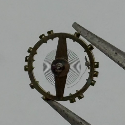 AS 976 1012 Balance Wheel Complete And Spring Inca 532 M Watch Movement Parts