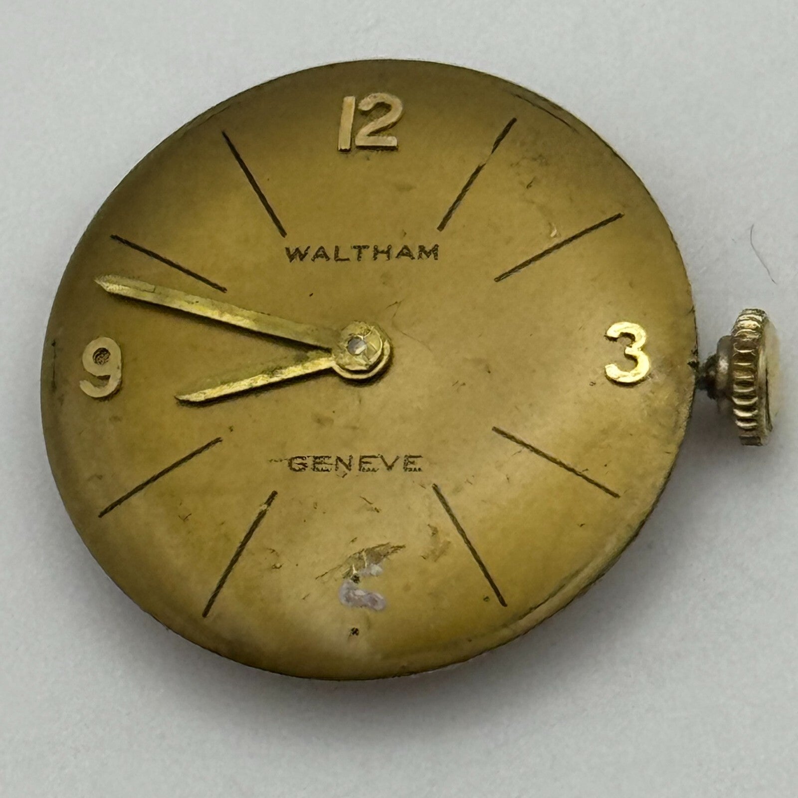 19.7mm Running Waltham ETA 2412 Ladies Manual Wind Swiss Watch Movement PARTS