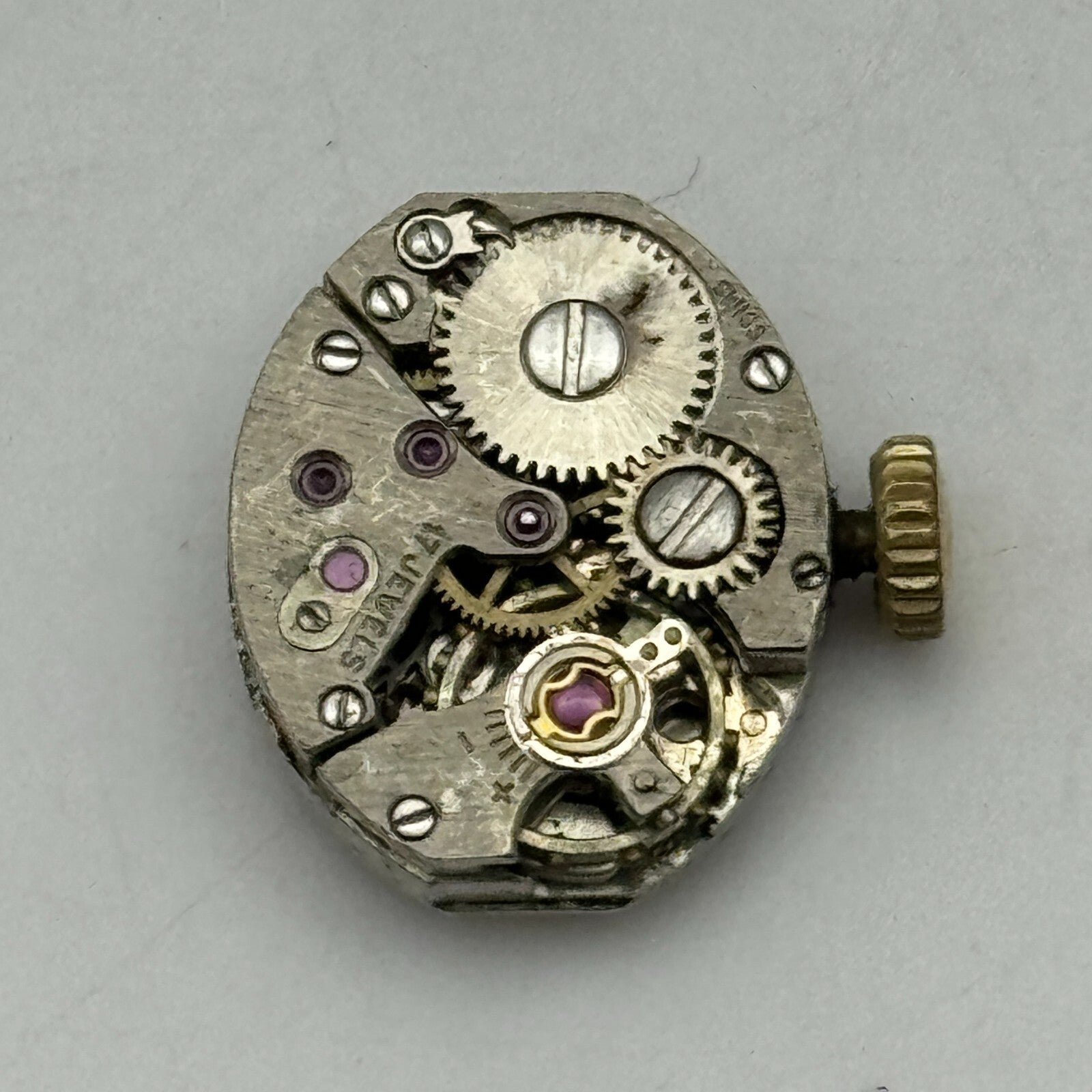 12.9mm Ladies Perona AS 1012 A Schild Manual Wind Swiss Watch Movement PARTS
