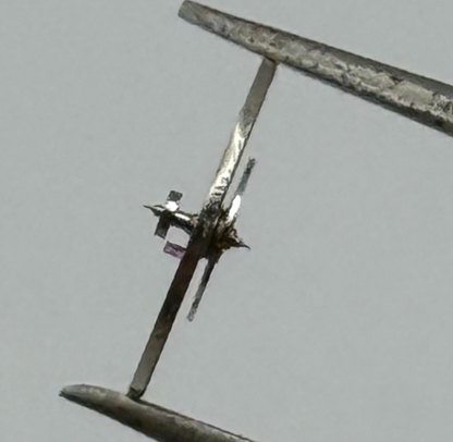 EB 8361 8365 8367 Balance Complete 8¾’’’ Renata 1597 M Watch Movement Parts