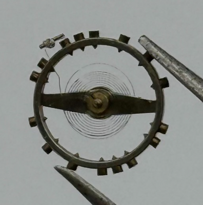 FEF 270 Balance Wheel Complete And Spring 5¼''' 173 M Watch Movement Parts 