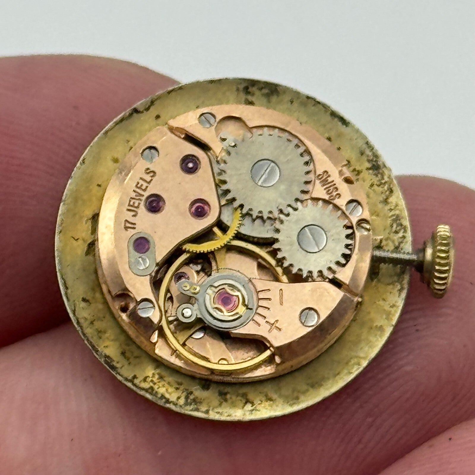 19.7mm Running Waltham ETA 2412 Ladies Manual Wind Swiss Watch Movement PARTS