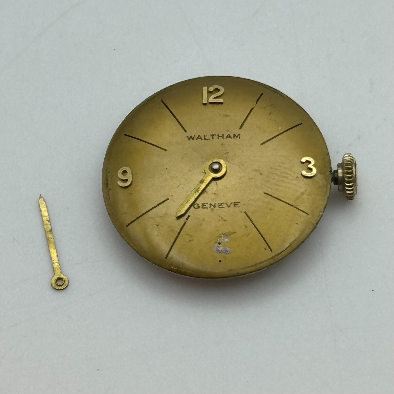 19.7mm Running Waltham ETA 2412 Ladies Manual Wind Swiss Watch Movement PARTS
