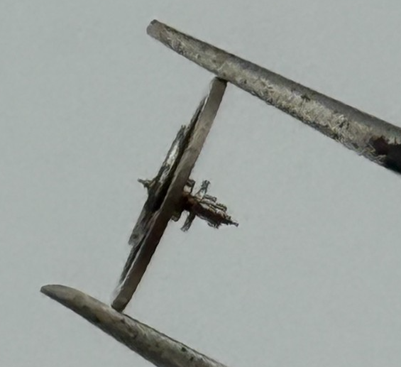 EB 1612 Balance Wheel Complete And Spring 6¾–8’’’ 950 Watch Movement Parts 