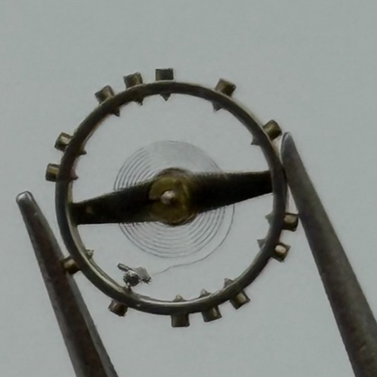 FEF 270 Balance Wheel Complete And Spring 5 1/4''' 173 M Watch Movement Parts