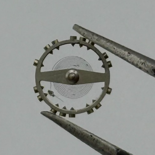 AS 976 1012 Balance Wheel Complete And Spring 29 M Watch Movement Parts NOS