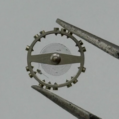 AS 976 1012 Balance Wheel Complete And Spring 29 M Watch Movement Parts NOS