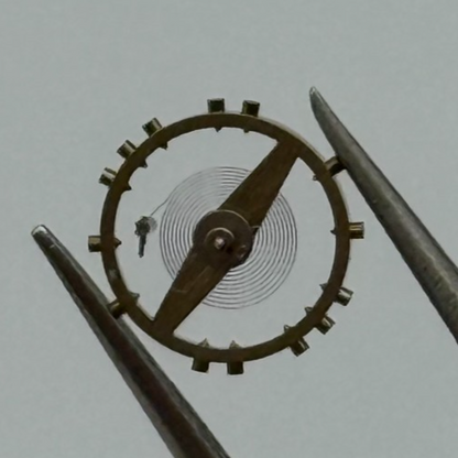 AV 41 Balance Wheel Complete And Spring 5 1/4’’’ Renata Watch Movement Parts NOS