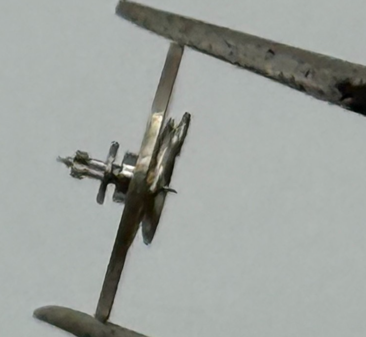 EB 1612 Balance Wheel Complete And Spring 6¾–8’’’ 950 Watch Movement Parts 