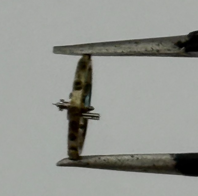 AS 976 1012 Balance Wheel Complete And Spring  29 M Watch Movement Parts NOS