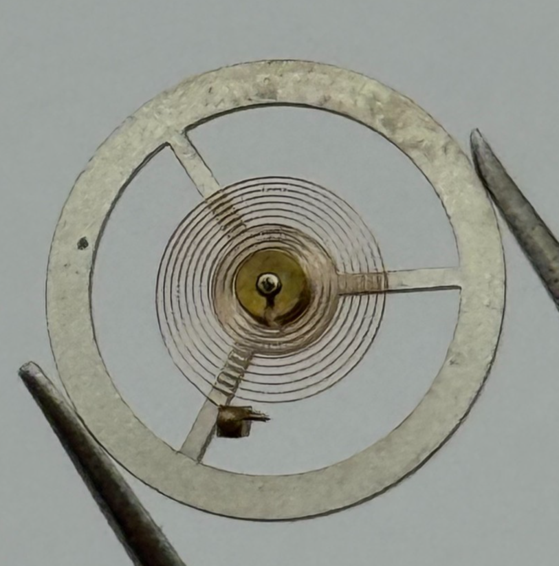 EB 8800 Balance Wheel Complete And Spring 12’’’ 1309 Watch Movement Parts NOS