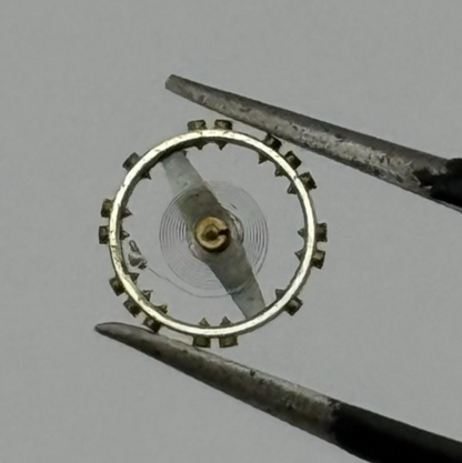 AS 976 1012 Balance Wheel Complete And Spring 29 M Watch Movement Parts NOS