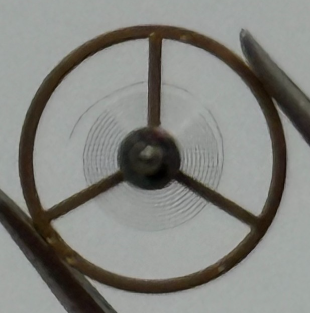 BFG 927-21 Balance Wheel Complete And Spring  1892 M Watch Movement Parts NOS