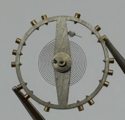 ETA 2450 2452 2472 Balance Wheel Complete And Spring 1676 M Watch Movement Parts