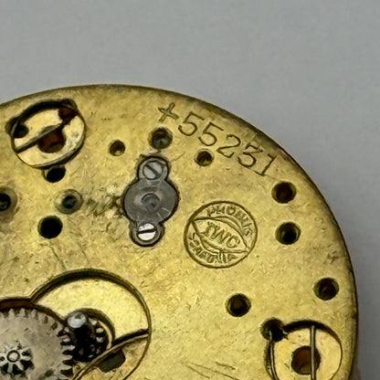 IWC Probus Schafusia Patent 55231 Watch Movement Vintage Swiss Parts 19.7mm