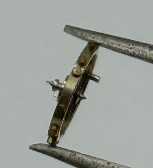 AS 976 1012 Balance Wheel Complete And Spring  29 M Watch Movement Parts NOS