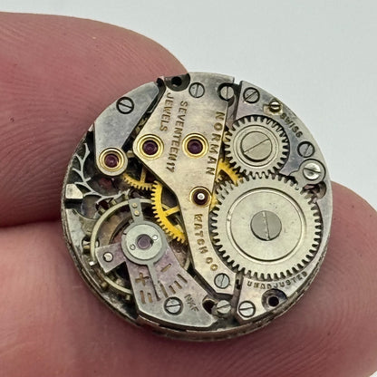 19.7mm Norman AS 970 A Schild Manual Wind 17 Jewels Swiss Watch Movement PARTS