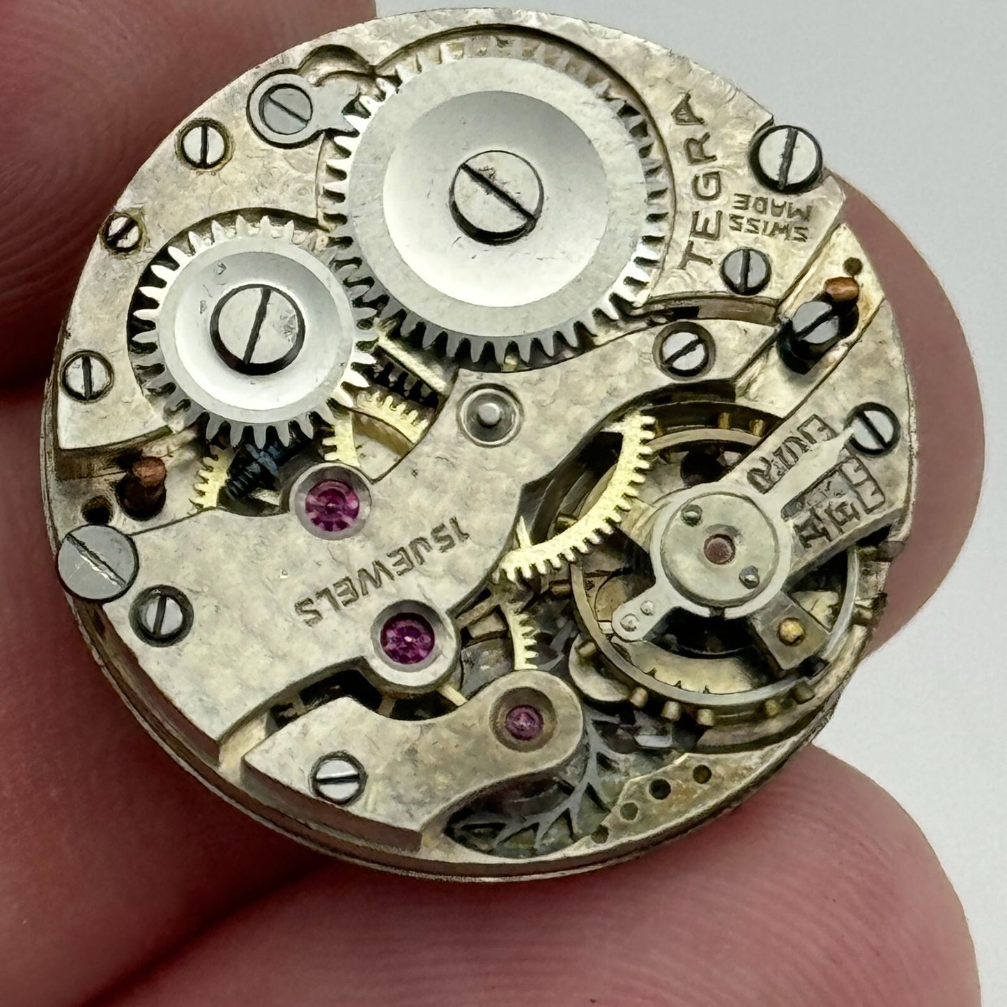 23.7mm Tegra 15 Jewels Swiss Porcelain Dial Trench Watch Movement Manual Wind