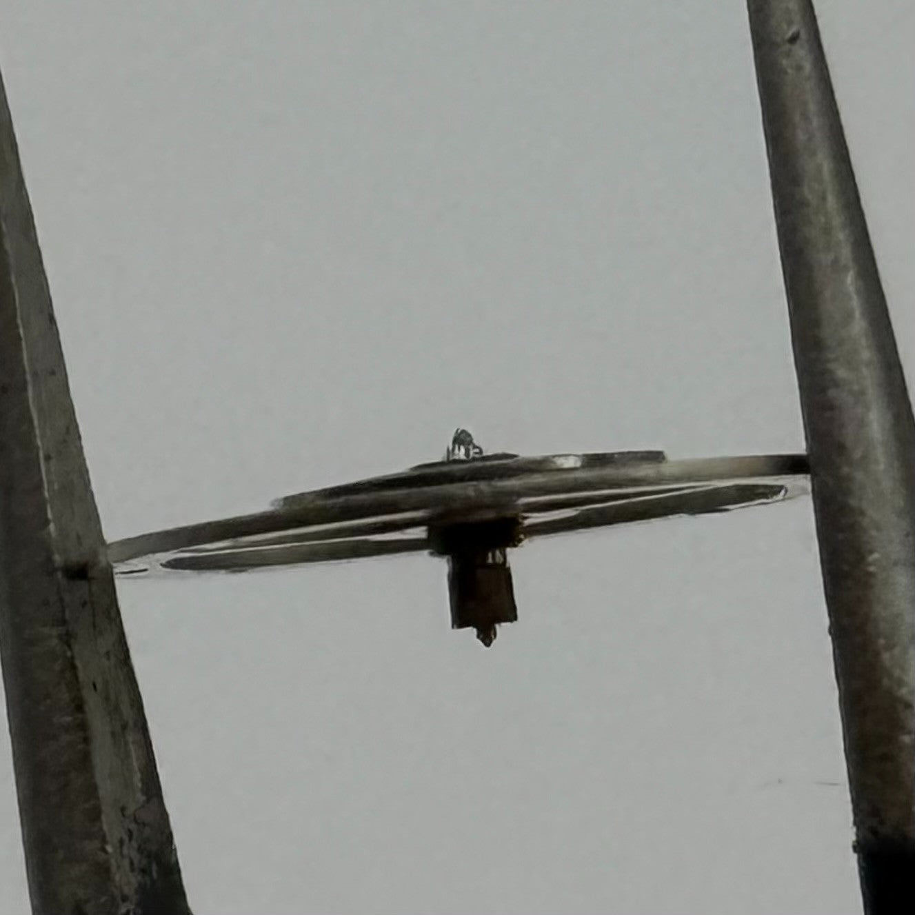 EB 8800 Balance Wheel Complete And Spring  12’’’ 1309 Watch Movement Parts NOS