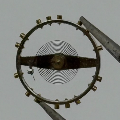 ETA 2450 2452 2472 Balance Wheel Complete And Spring 1676 M Watch Movement Parts