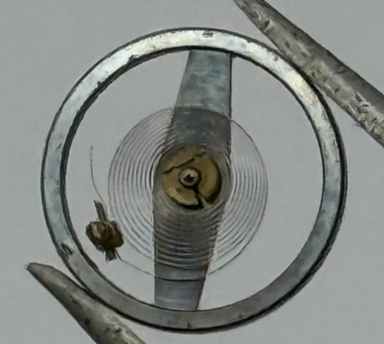 Brac 2021 2051 Balance Wheel Complete And Spring 69 M Watch Movement Parts NOS