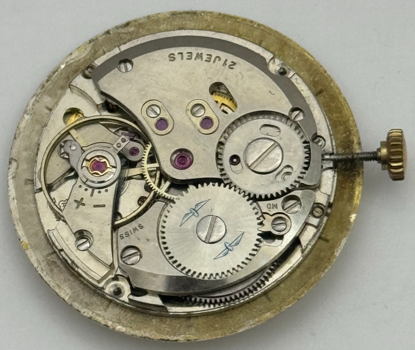 26mm Men's Rotary AS 1746 1747 Manual Wind Watch Movement Swiss Made PARTS