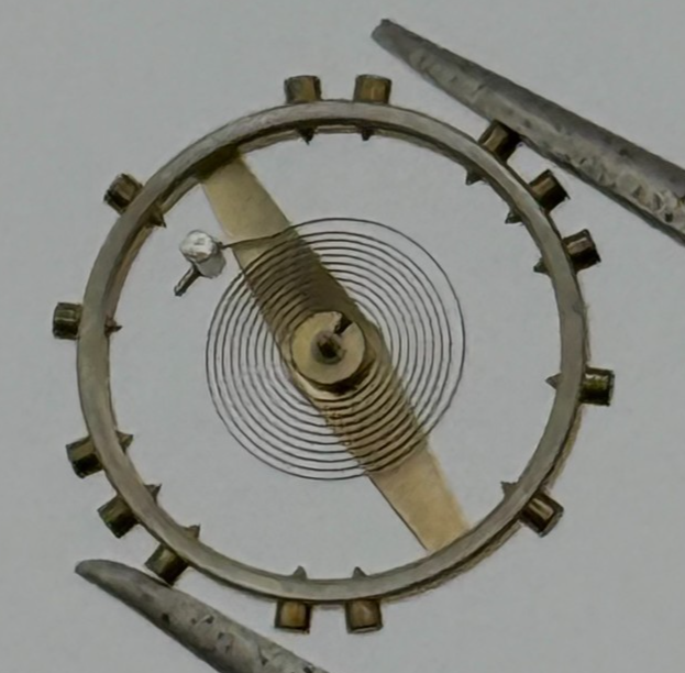 AS 1215 Balance Complete 10 1/2''' Inca Renata 1531 M Watch Movement Parts NOS