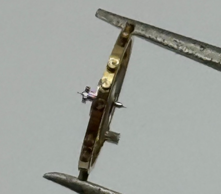 AS 1240 Balance Wheel Complete And Spring  8¾’’’ 49 M Watch Movement Parts NOS