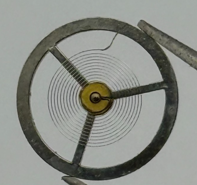 BFG 866 DGT Balance Wheel Complete And Spring 64 Renata Watch Movement Parts