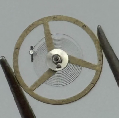AS 1977-2 Balance Wheel Complete And Spring  1831 M Watch Movement Parts NOS