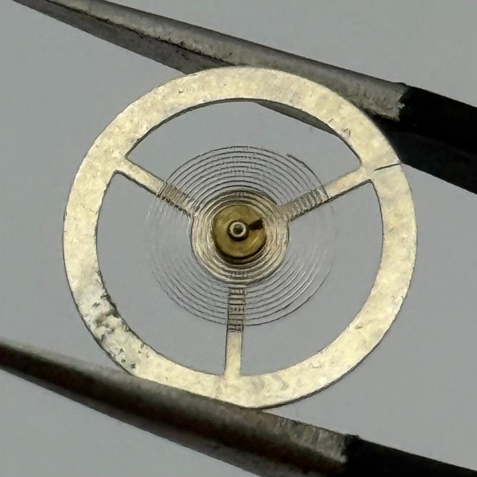 EB 8800 Balance Wheel Complete And Spring  12’’’ 1309 Watch Movement Parts NOS