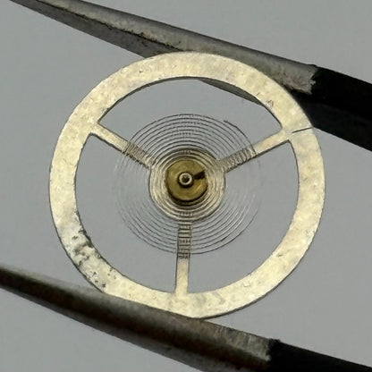 EB 8800 Balance Wheel Complete And Spring  12’’’ 1309 Watch Movement Parts NOS